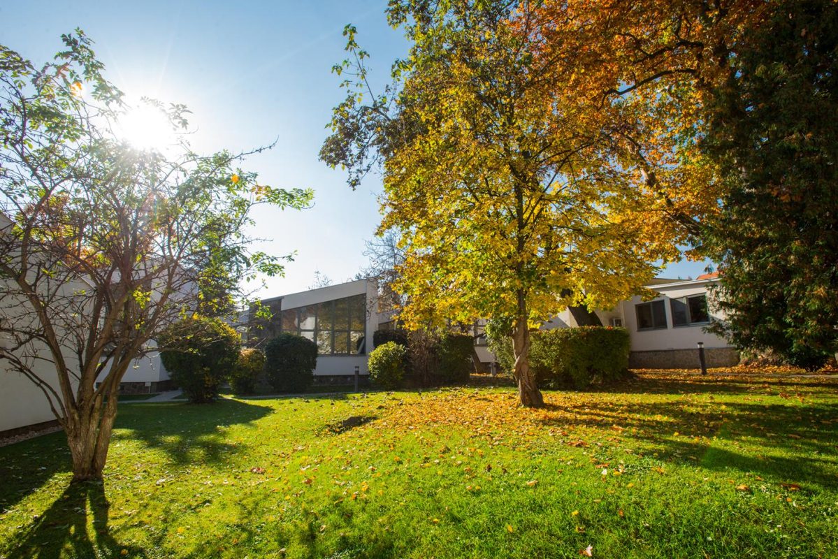 szentendrei-regi-muvesztelep-main.jpg
